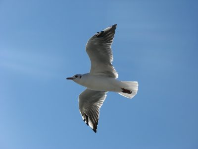 20060909104946.jpg