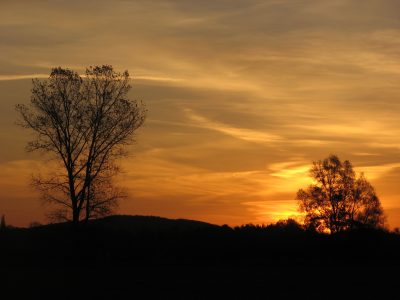 20061116074347.jpg