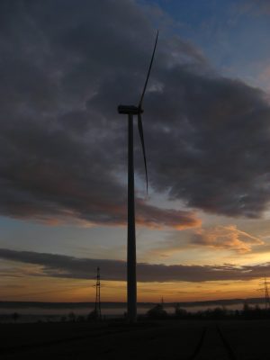20061127075953.jpg