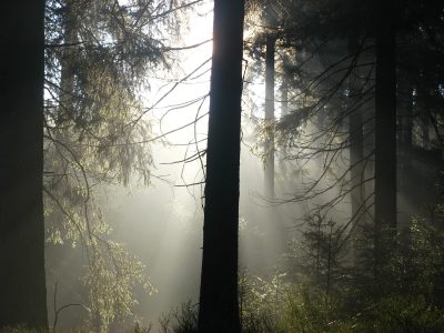 20061226142645.jpg
