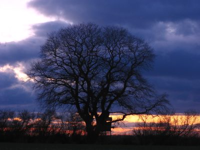 20070125171253.jpg