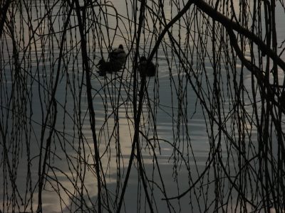 20070304145019.jpg