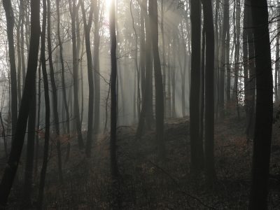 20070315080847.jpg