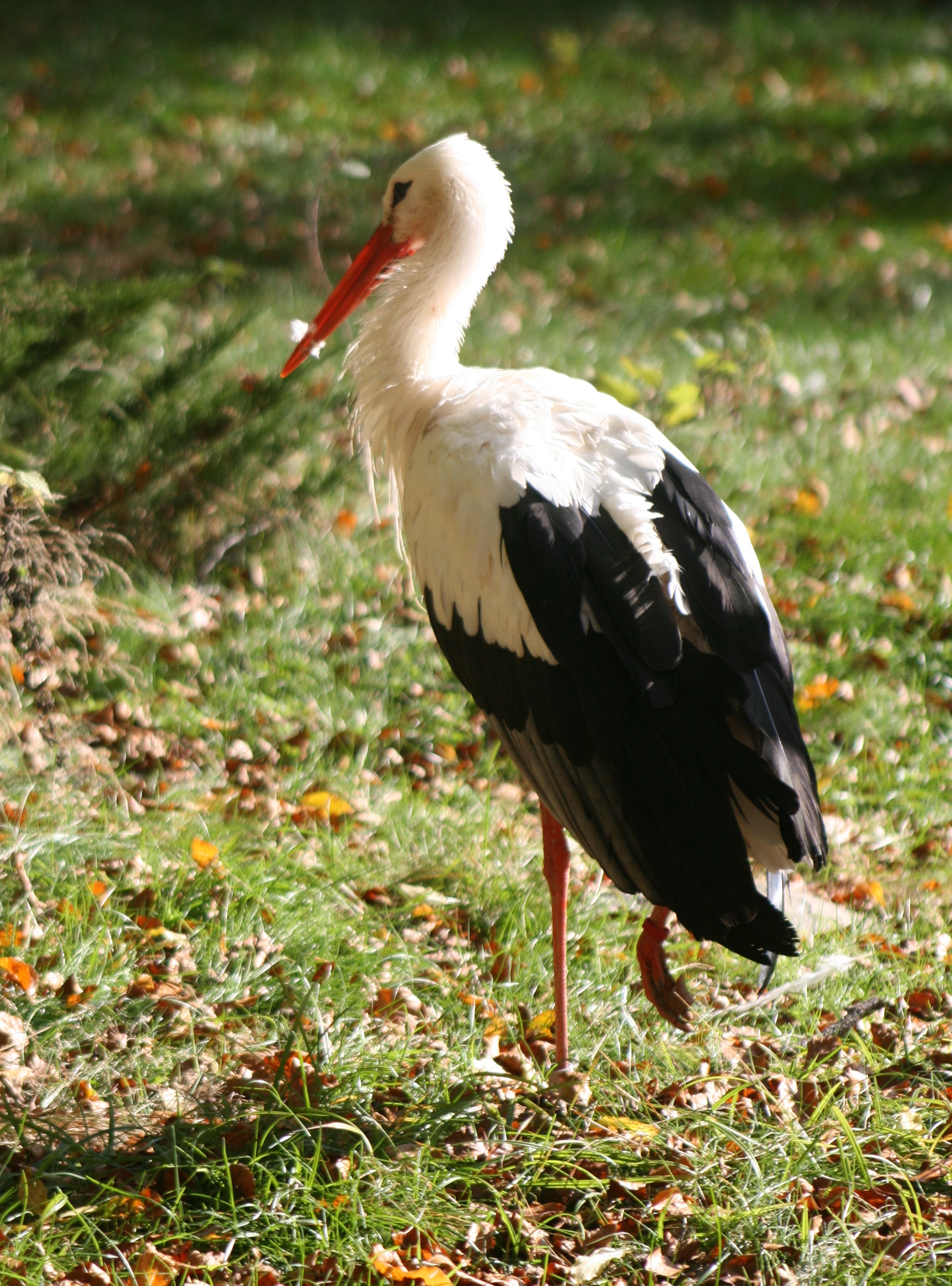 20071013144148.jpg