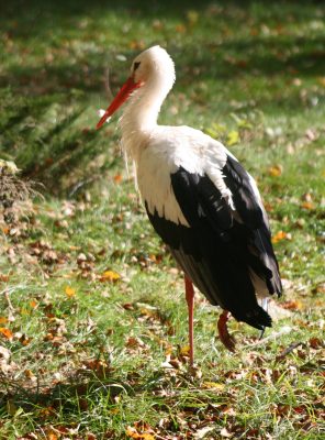 20071013144148.jpg