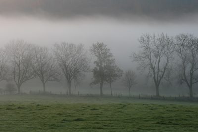 20071031082645.jpg