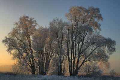 20080107082900-14.jpg