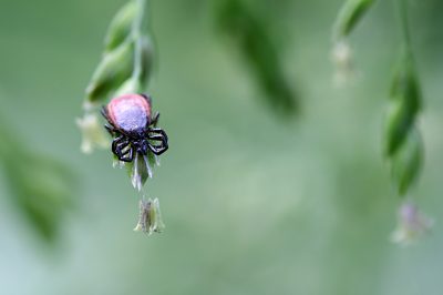 20080606093059.jpg