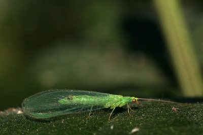 20080607070856.jpg