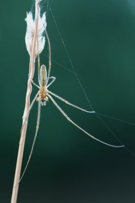 20080707212414.jpg