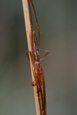 20080716211522.jpg