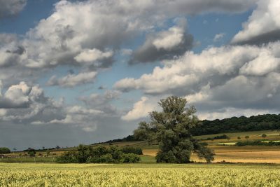 20080720174800-4.jpg