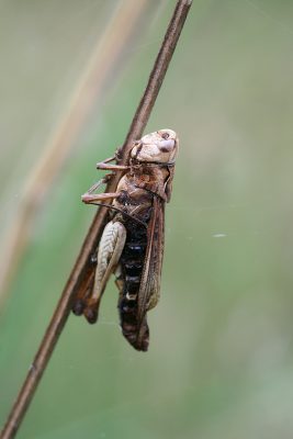 20080802165001.jpg