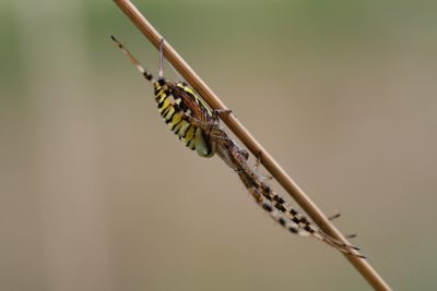 20080802165948.jpg