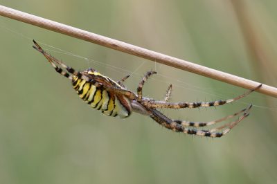 20080802170951.jpg