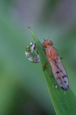 20080808070914.jpg