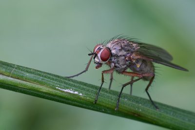 20080808165804.jpg