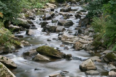 20080809202438.jpg