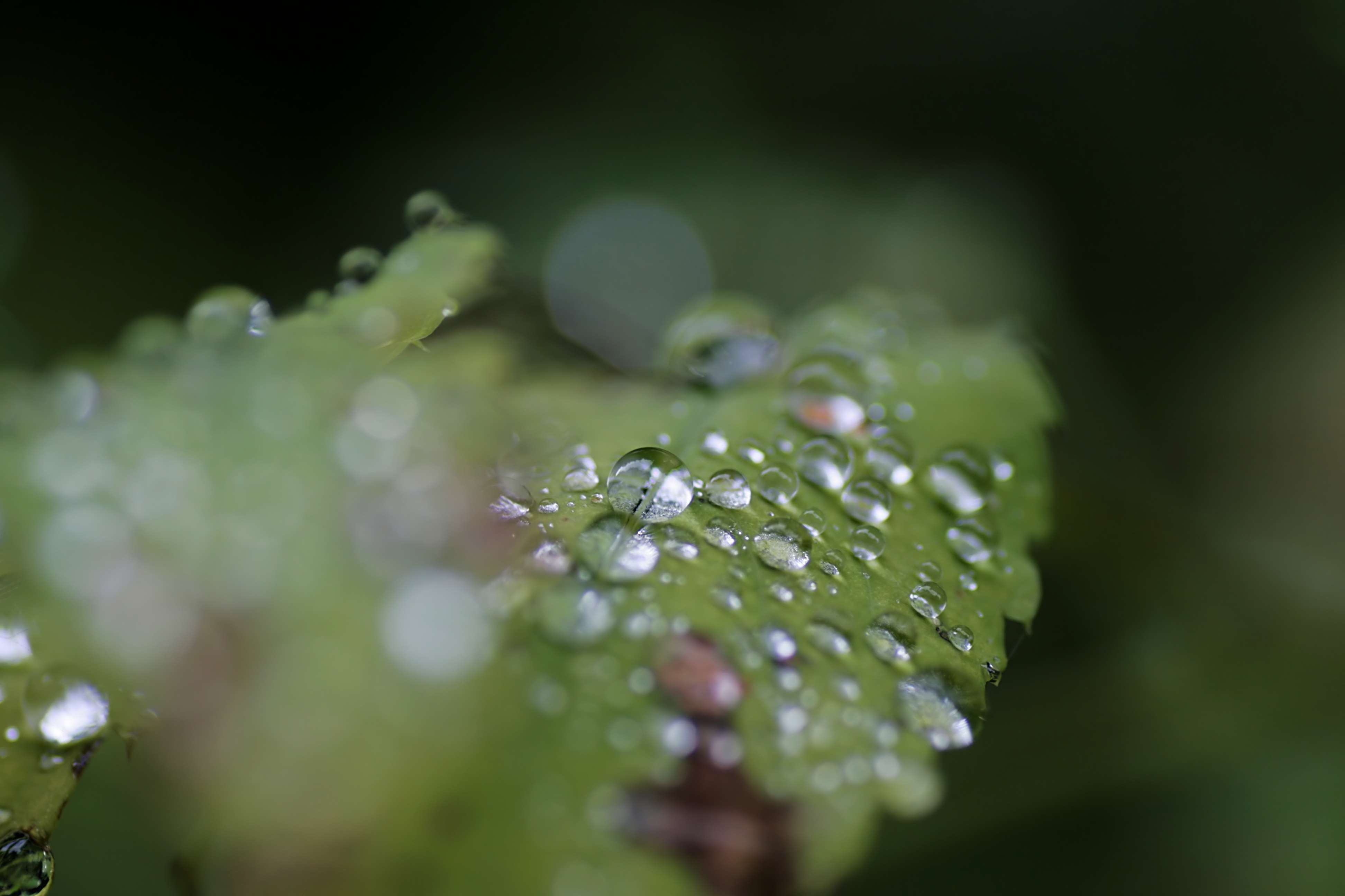 20080924154453.jpg