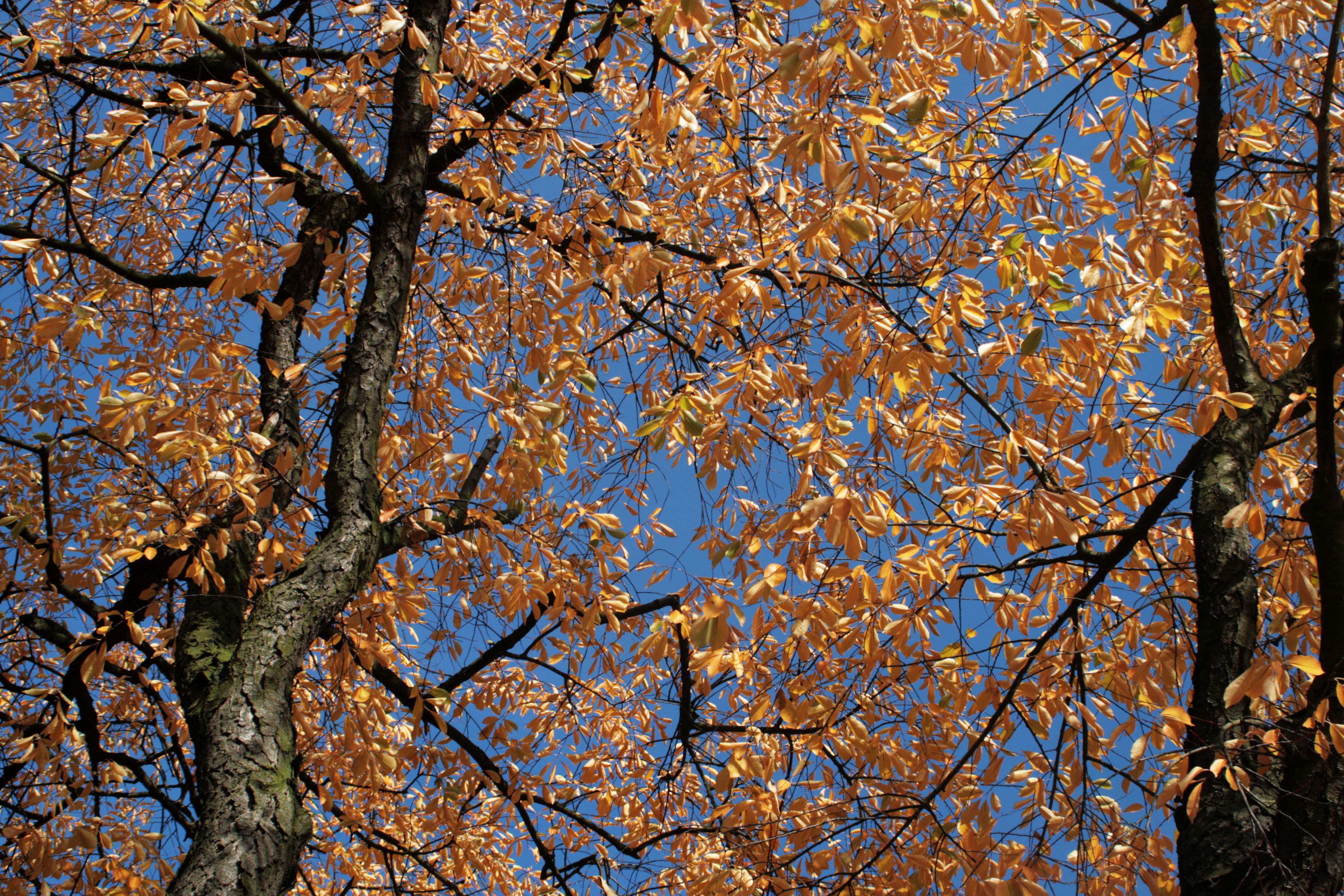 20081010142141.jpg