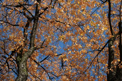 20081010142141.jpg