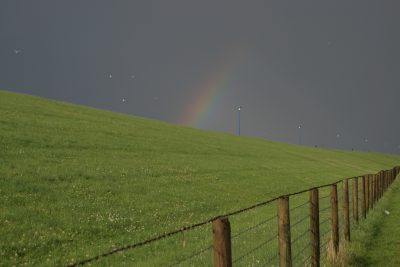 20090719191937.jpg