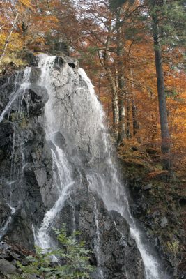 20091031142610.jpg