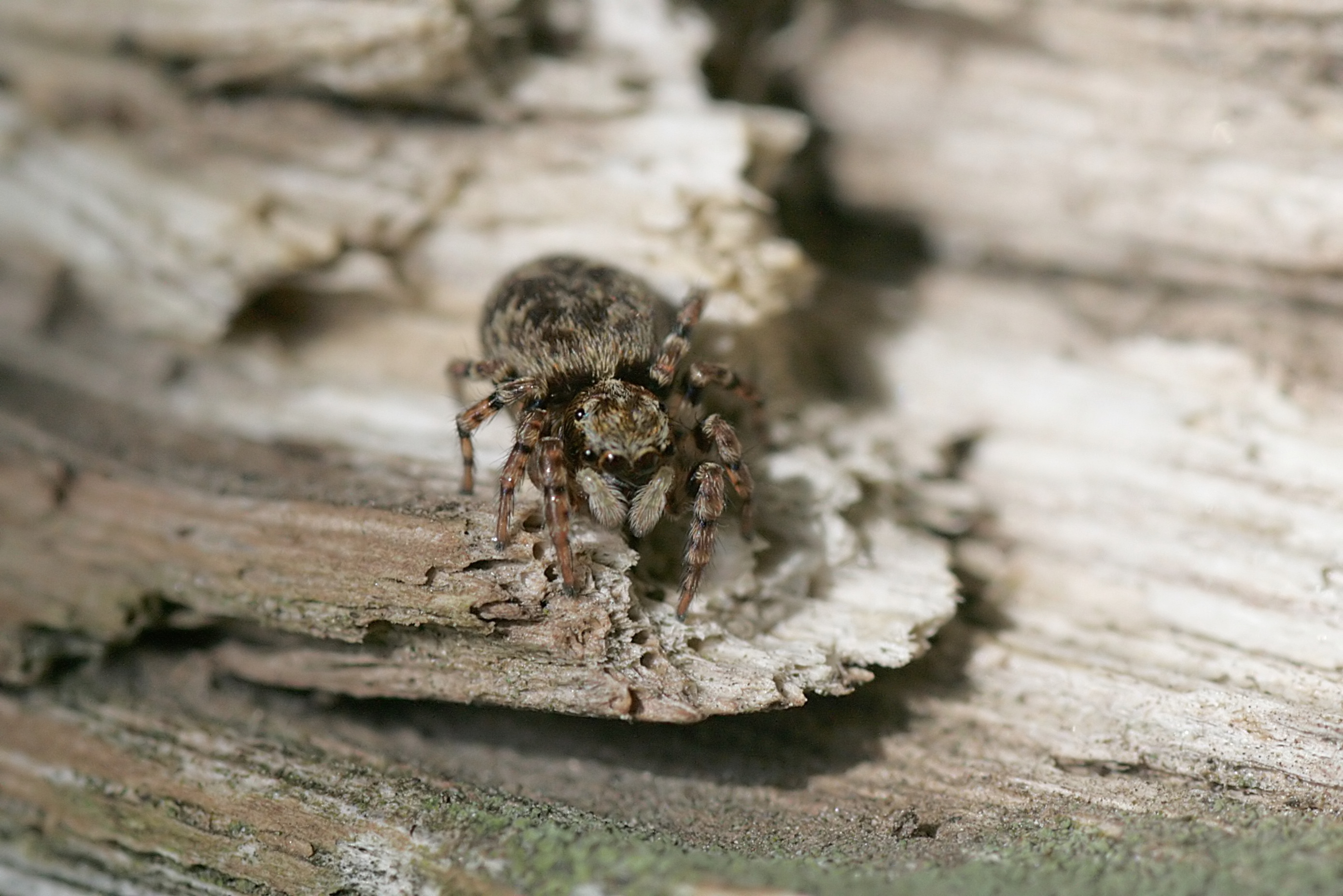 20100614153548.jpg