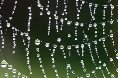 20100905083809.jpg