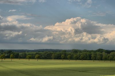 20100929174200-2.jpg