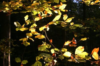 20111022171554.jpg