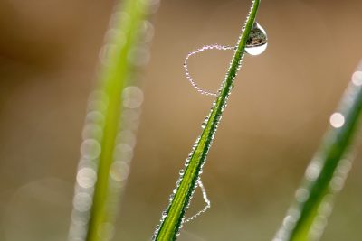 20111028101050.jpg