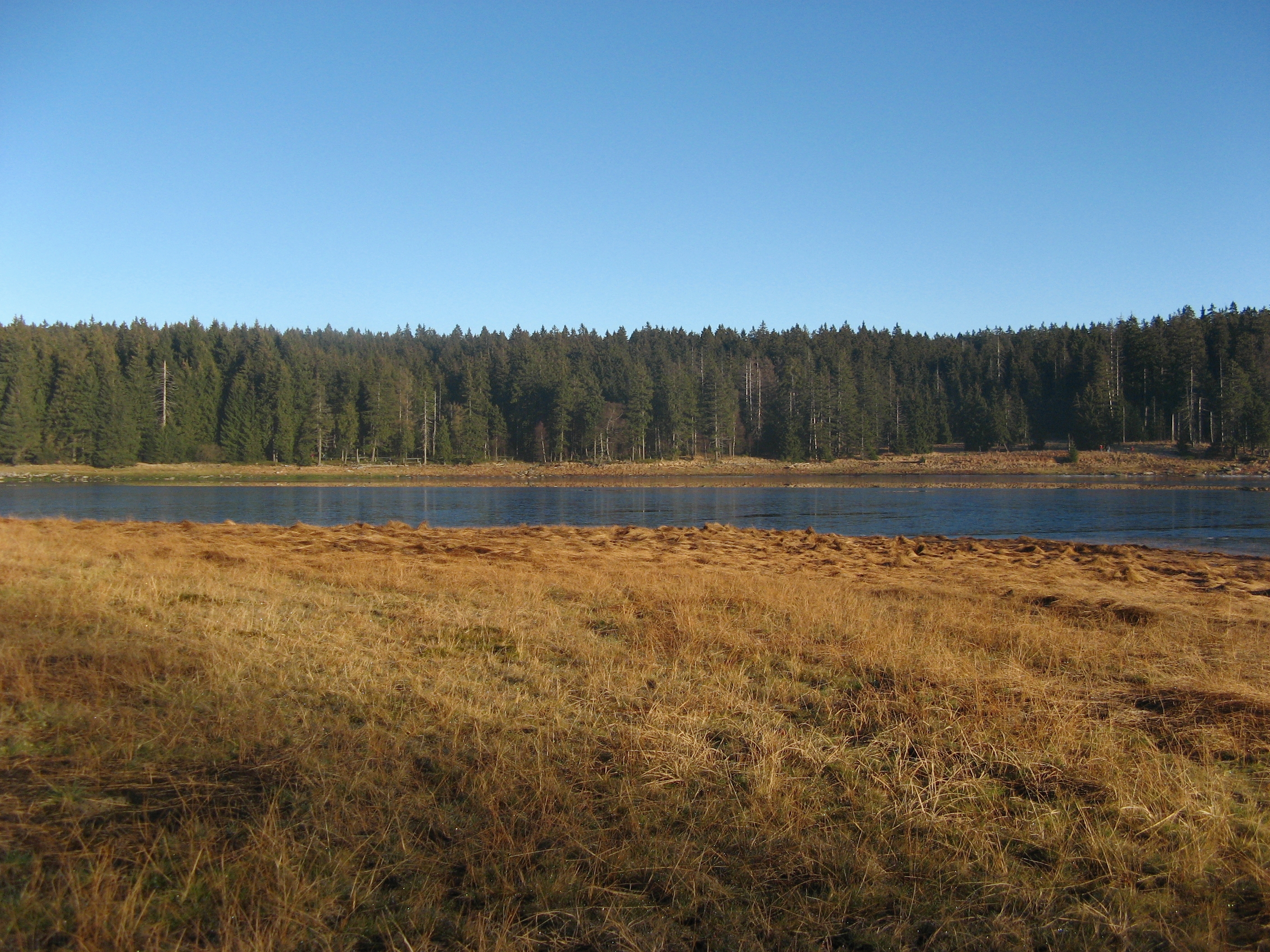 20061226141132.jpg