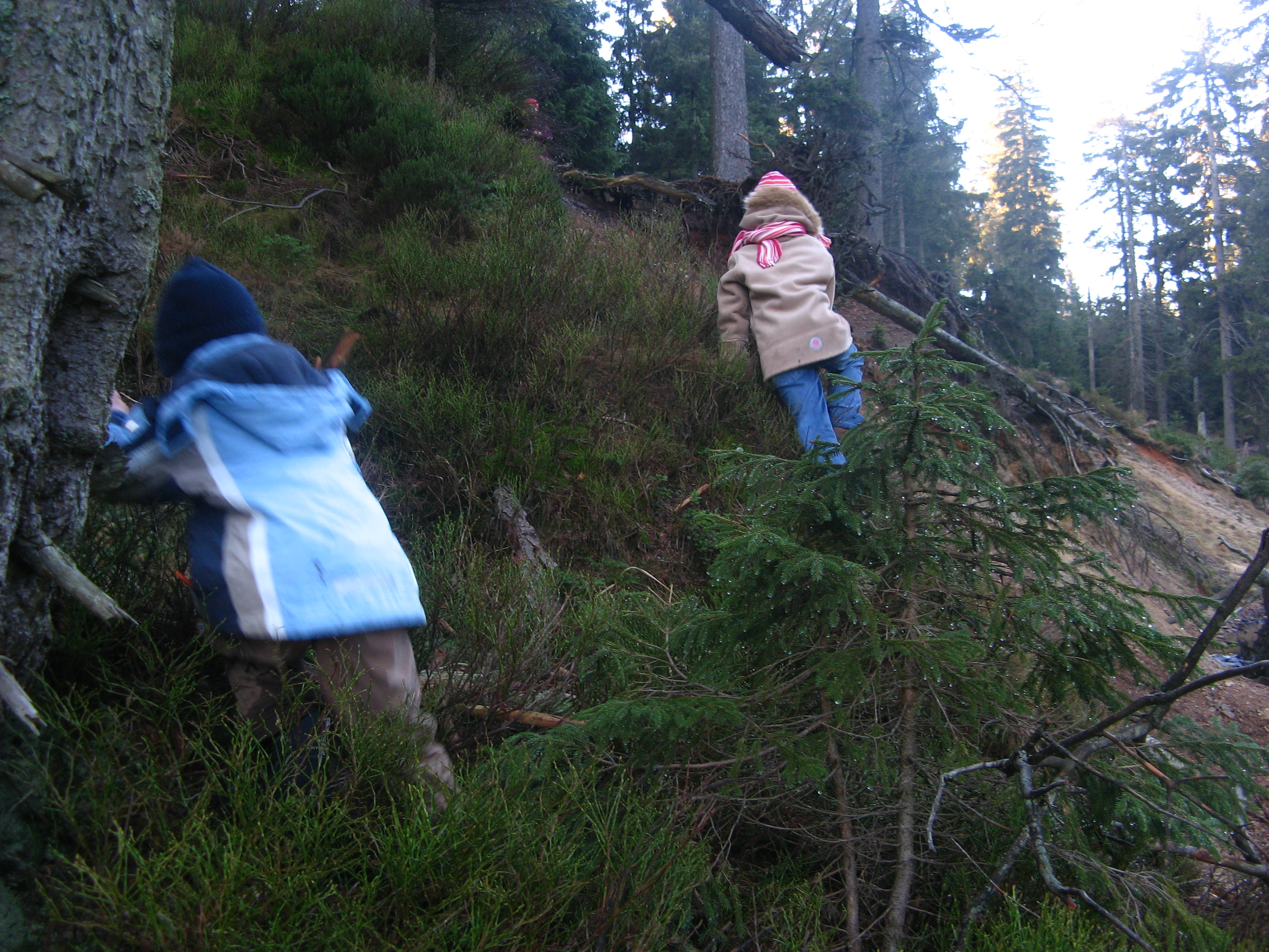20061226143907.jpg
