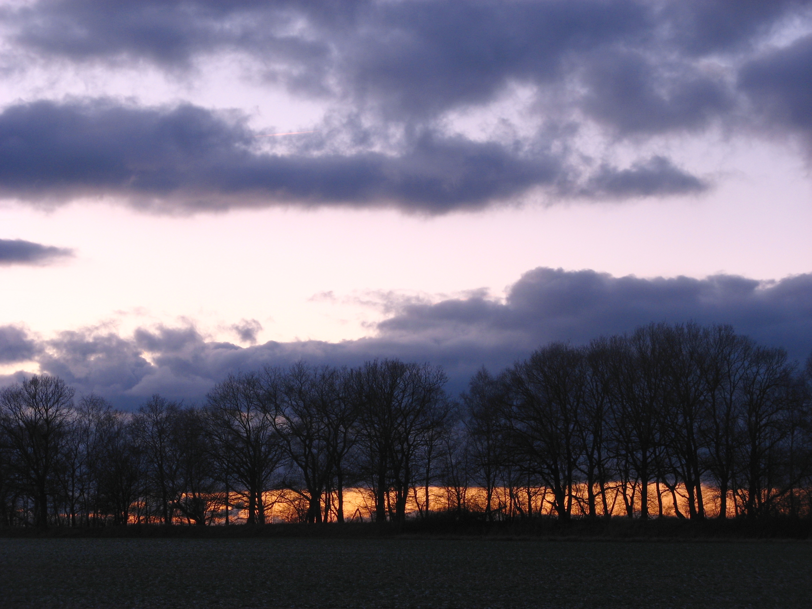 20070125170529.jpg