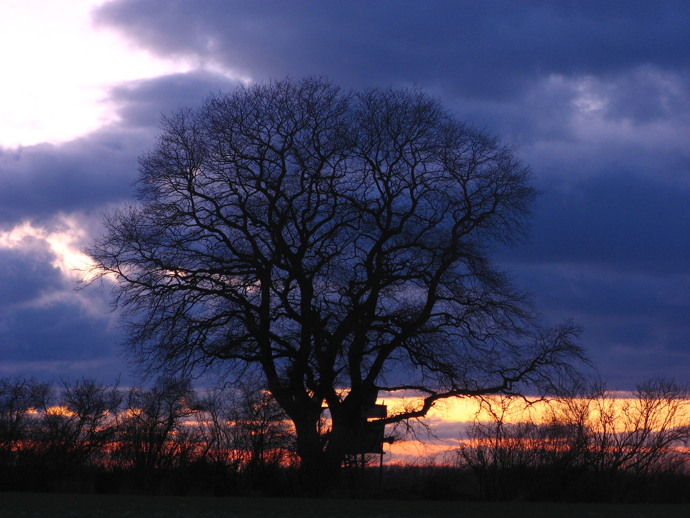 20070125171253.jpg