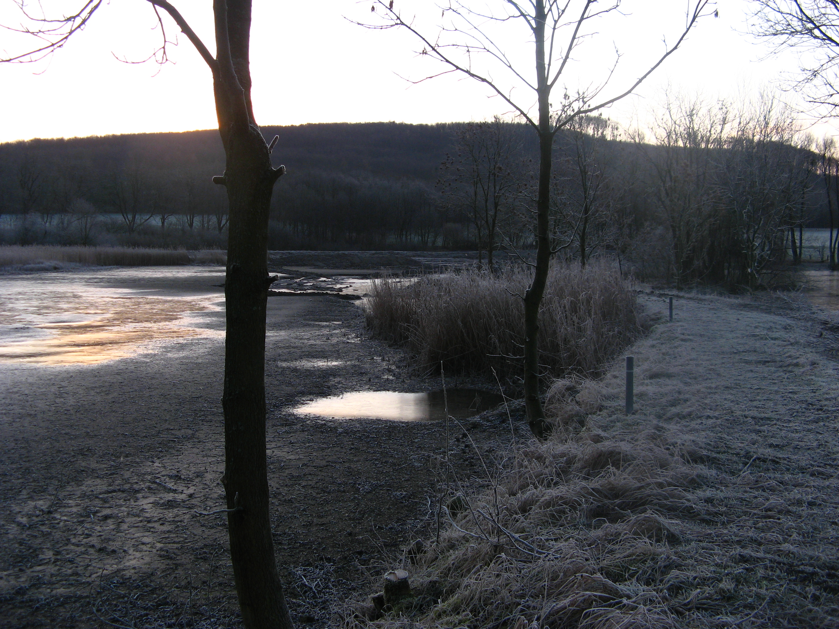 20070207080613.jpg