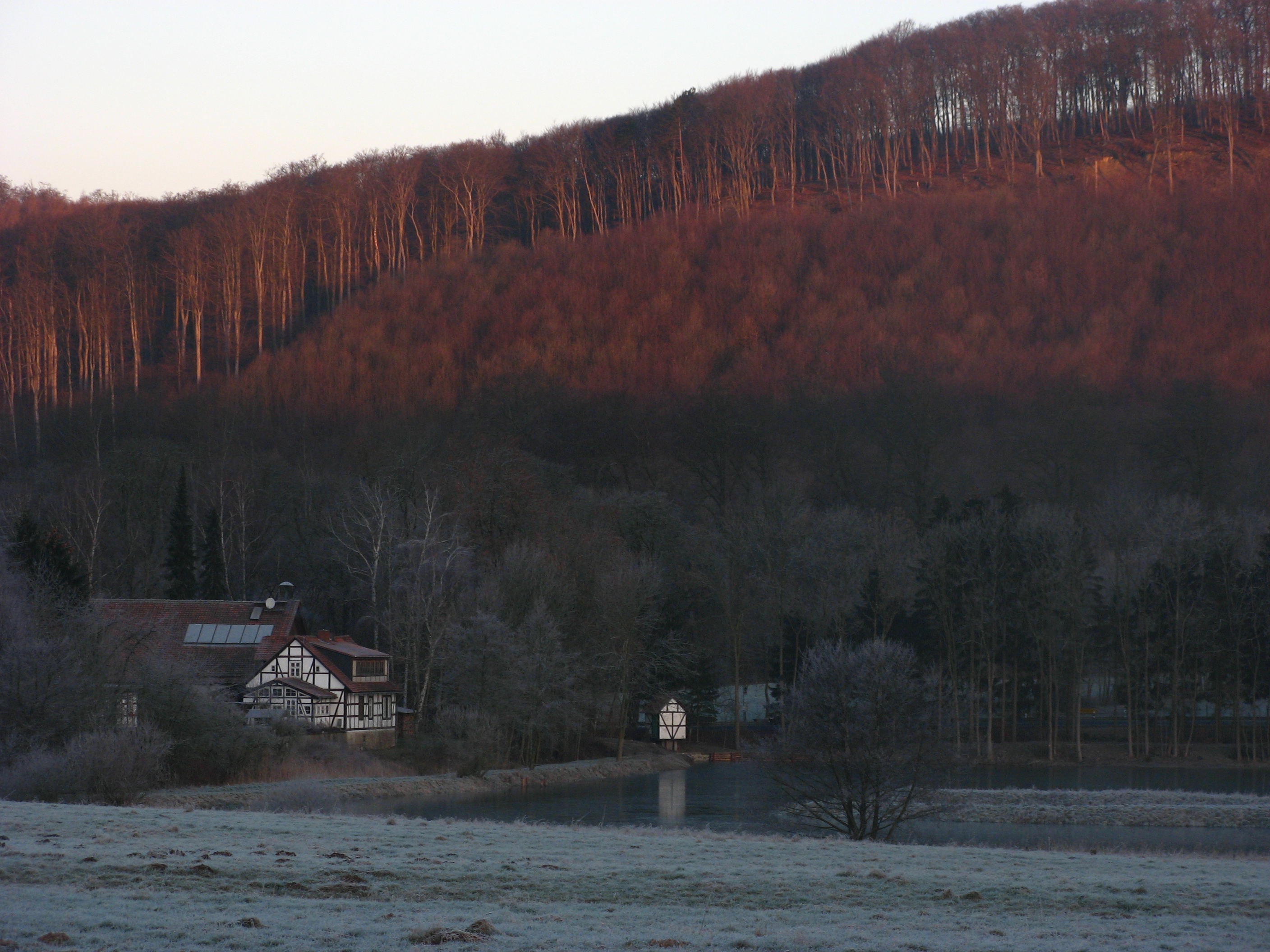 20070207080929.jpg