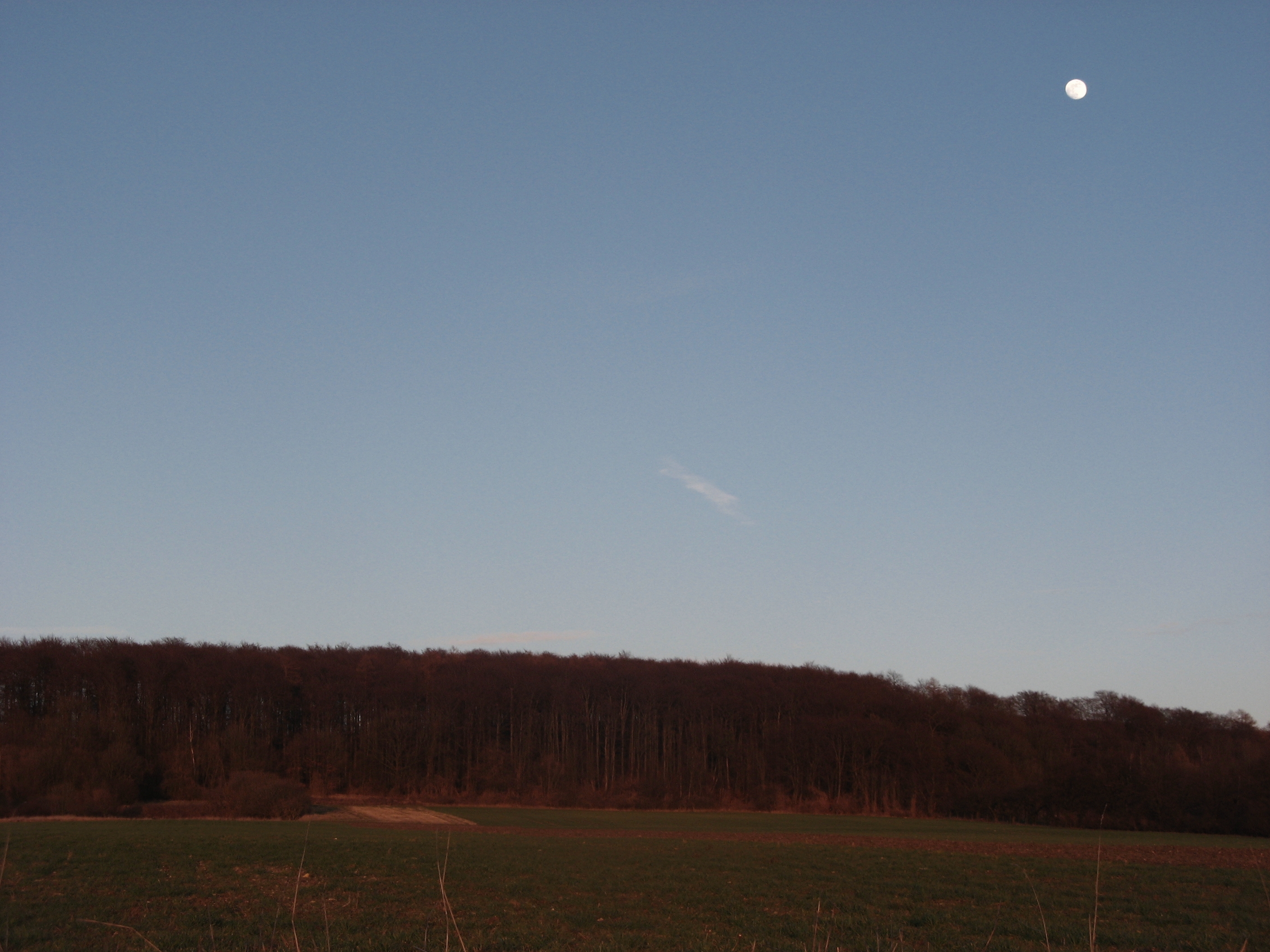 20070301173941.jpg