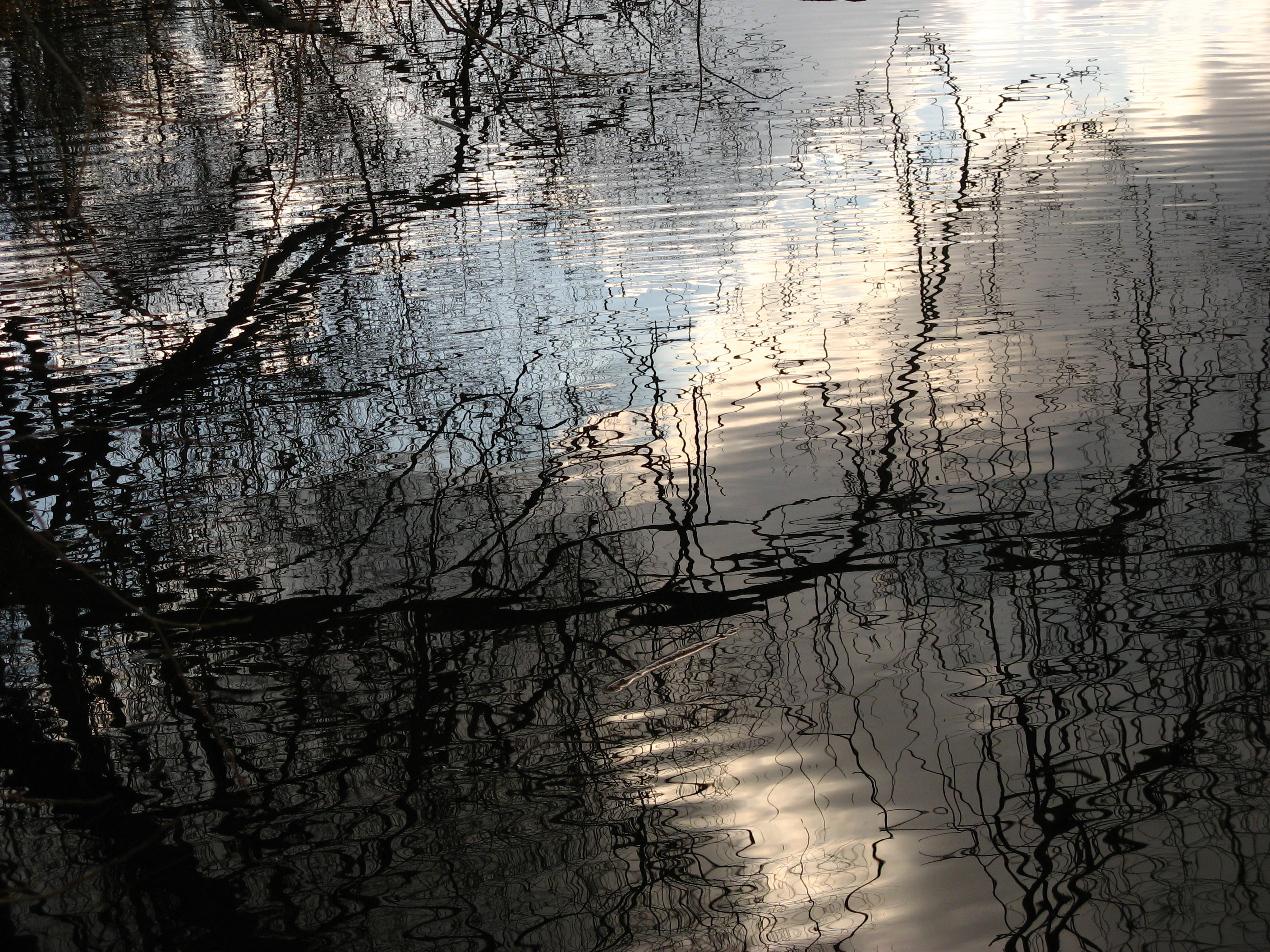 20070304142551.jpg