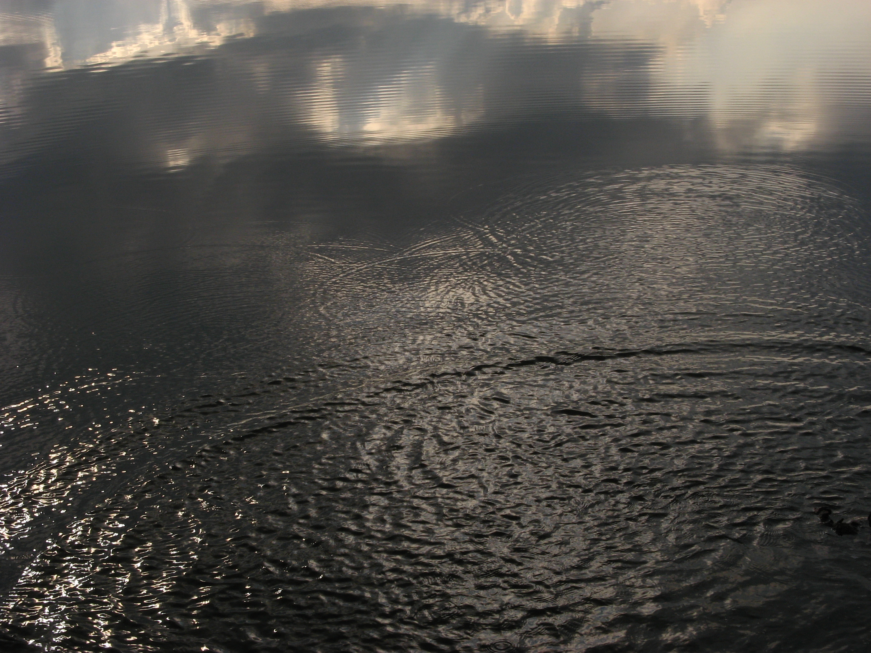 20070304144000.jpg