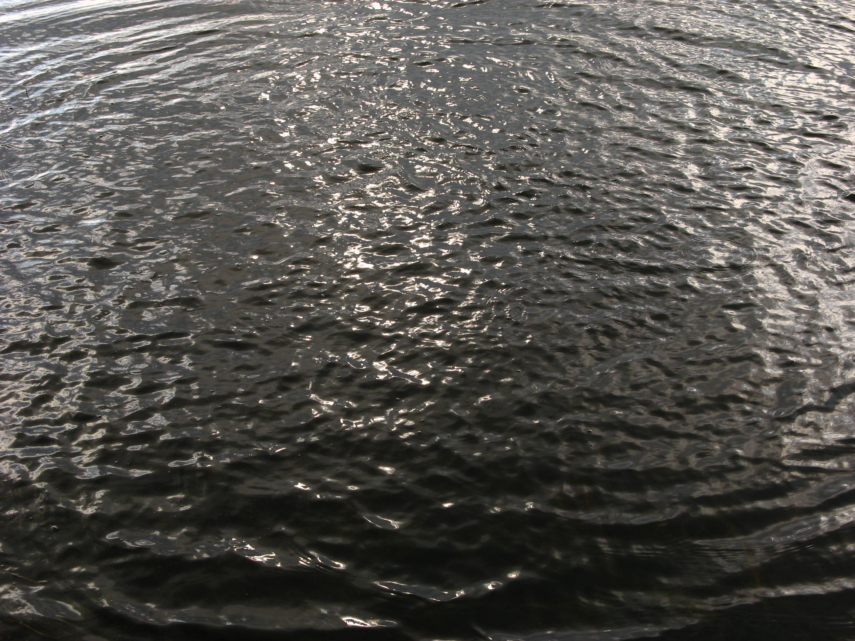 20070304144055.jpg