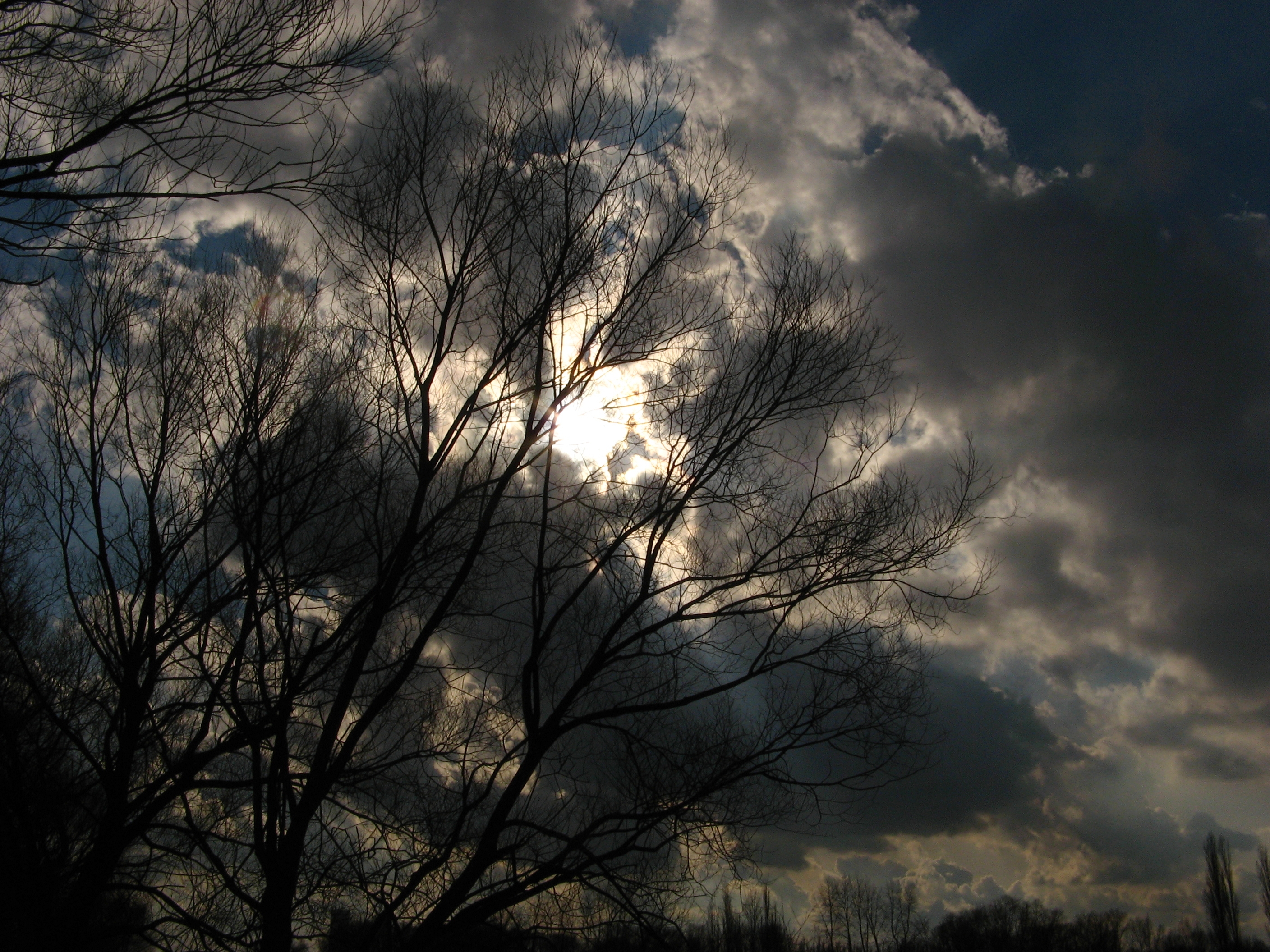20070304144824.jpg