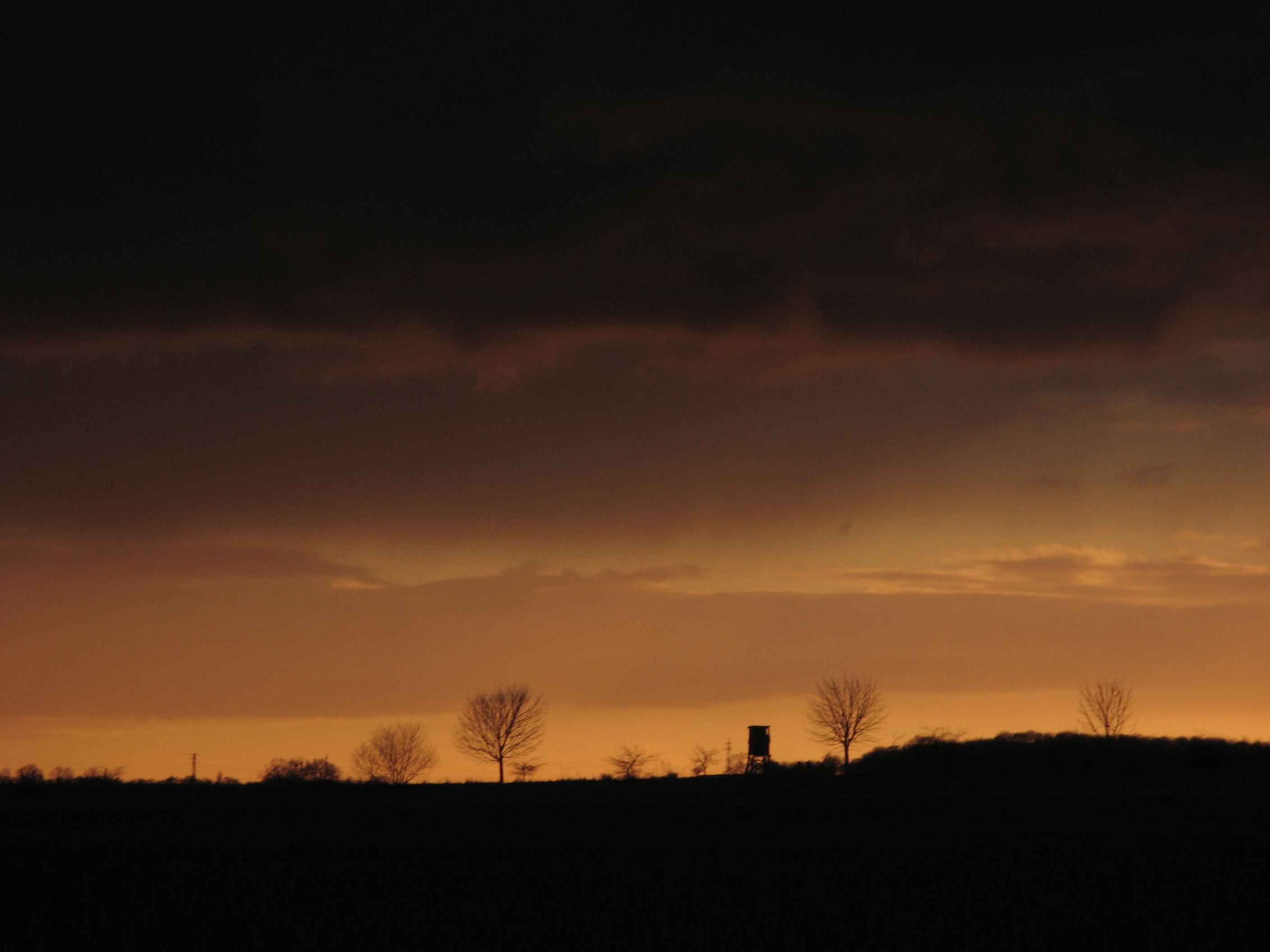 20070305174809.jpg