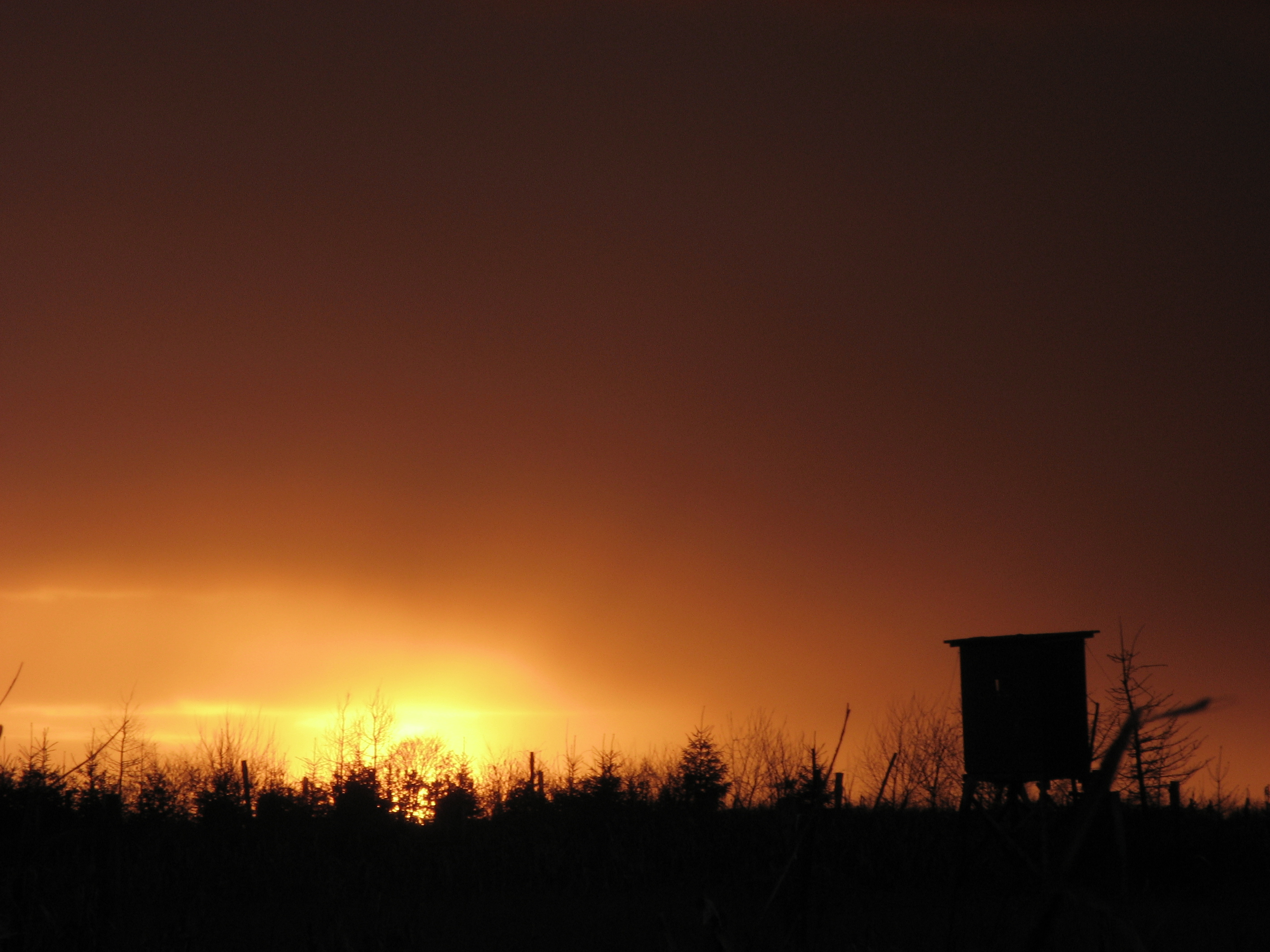 20070305175234.jpg