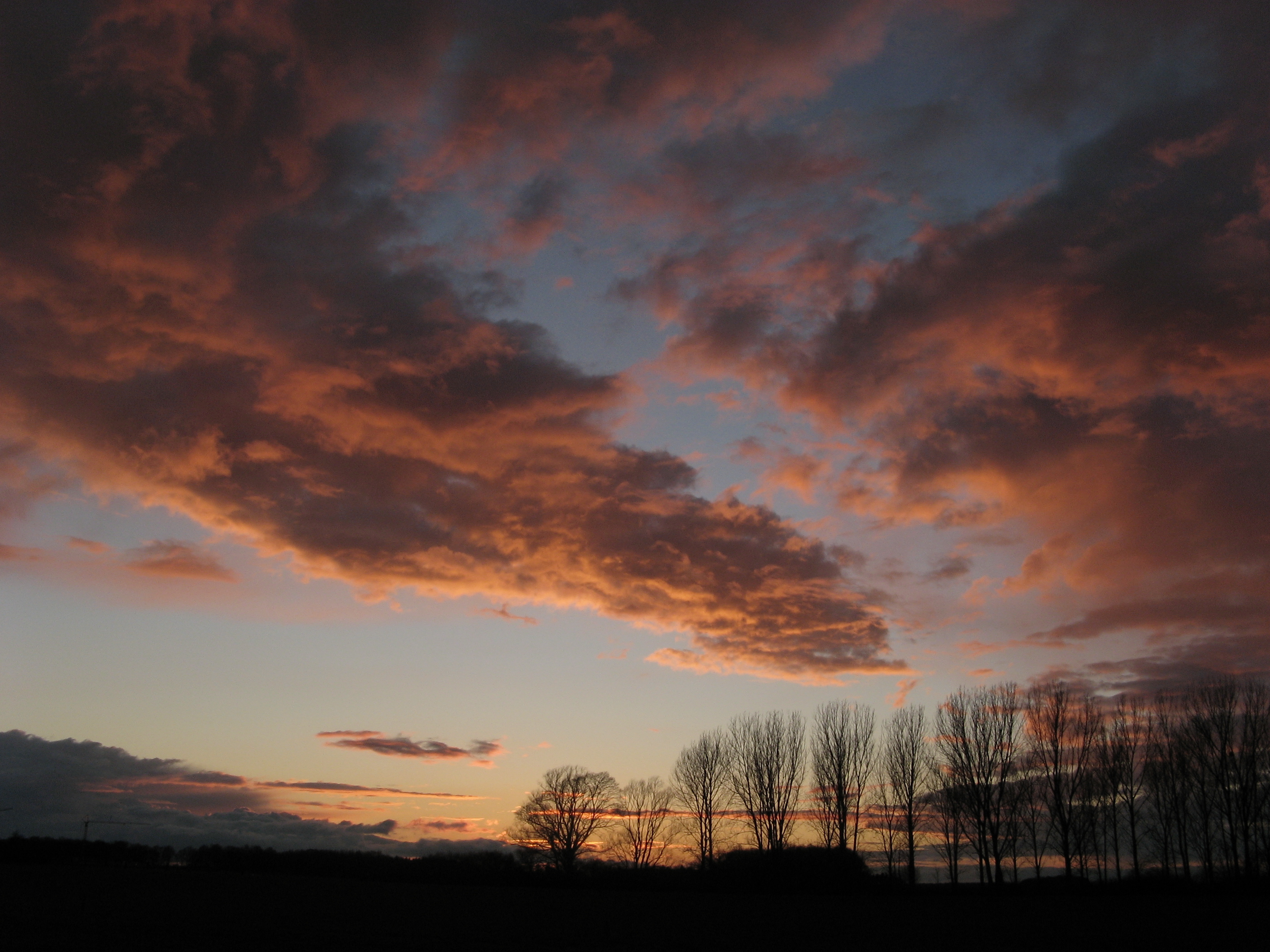 20070307180242.jpg