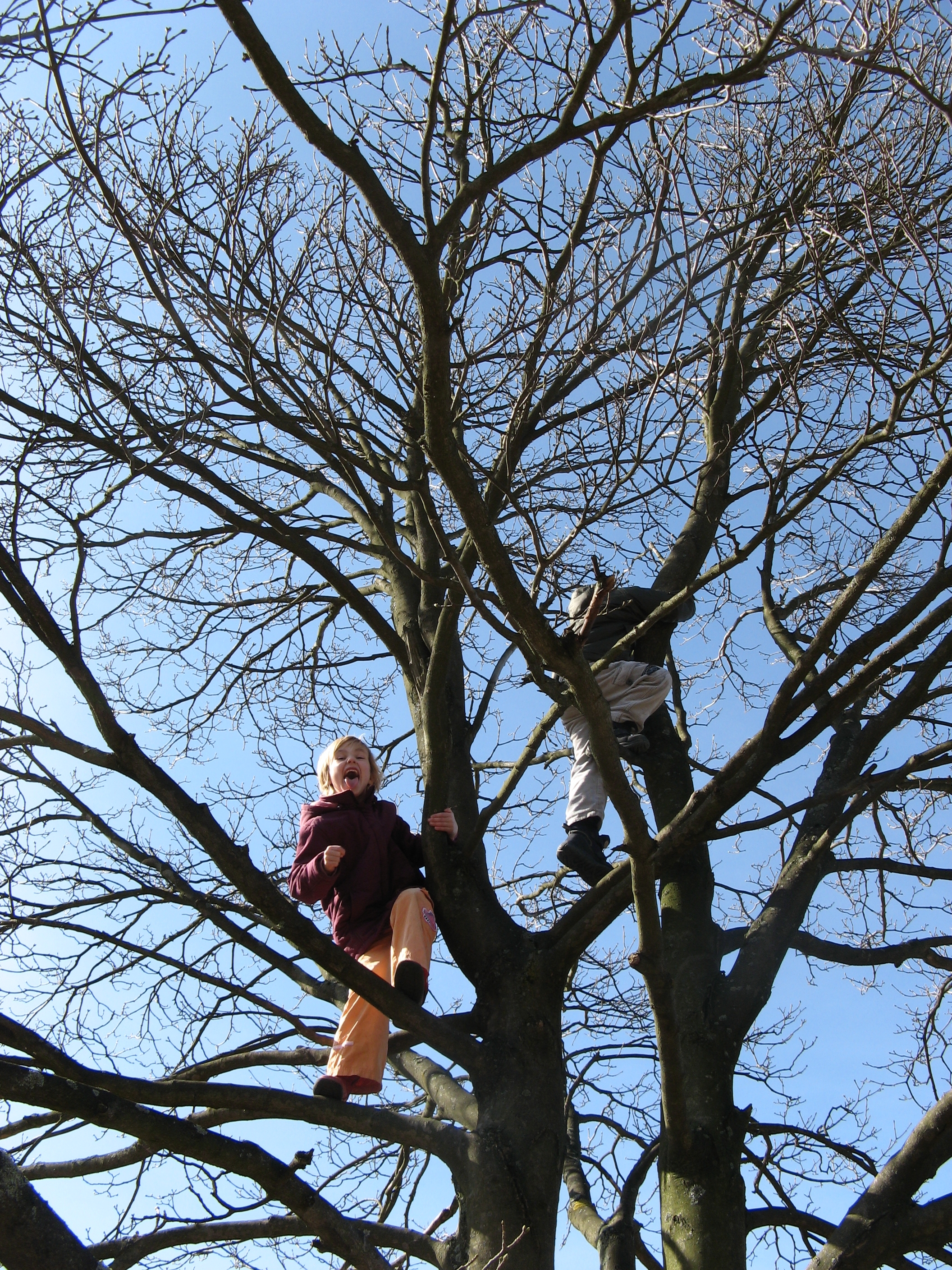 20070311132807.jpg