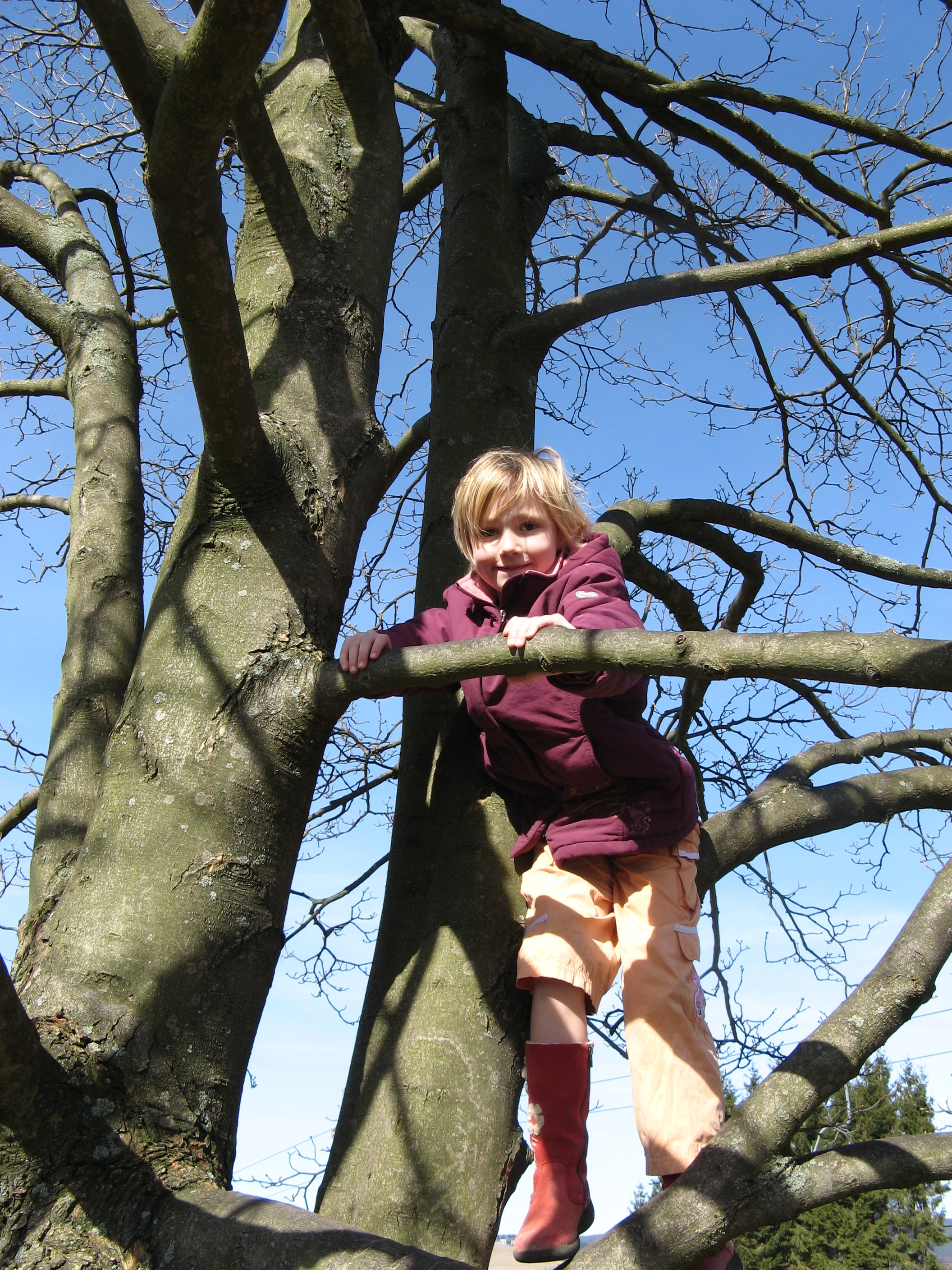 20070311134247.jpg