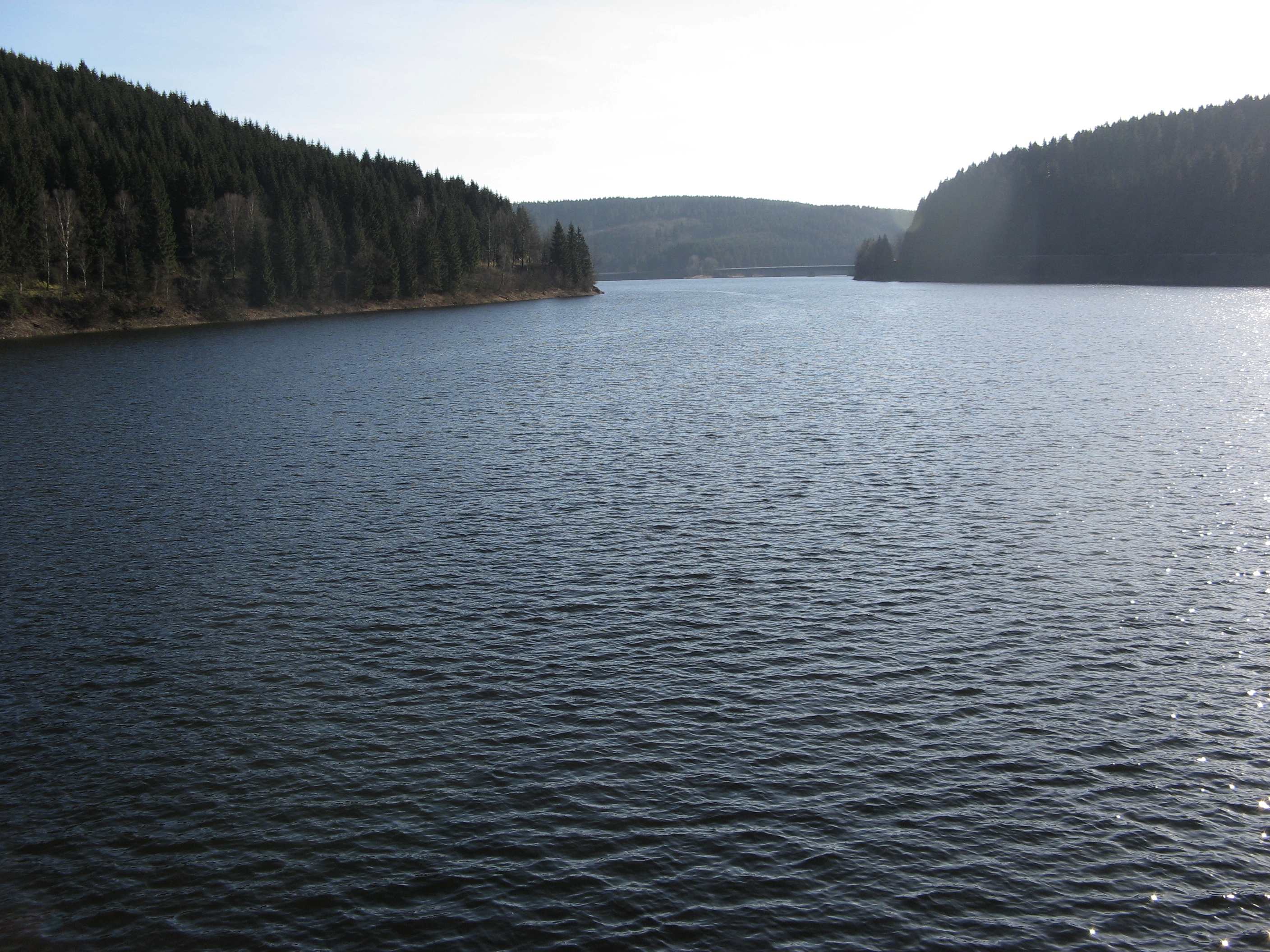20070311153648.jpg