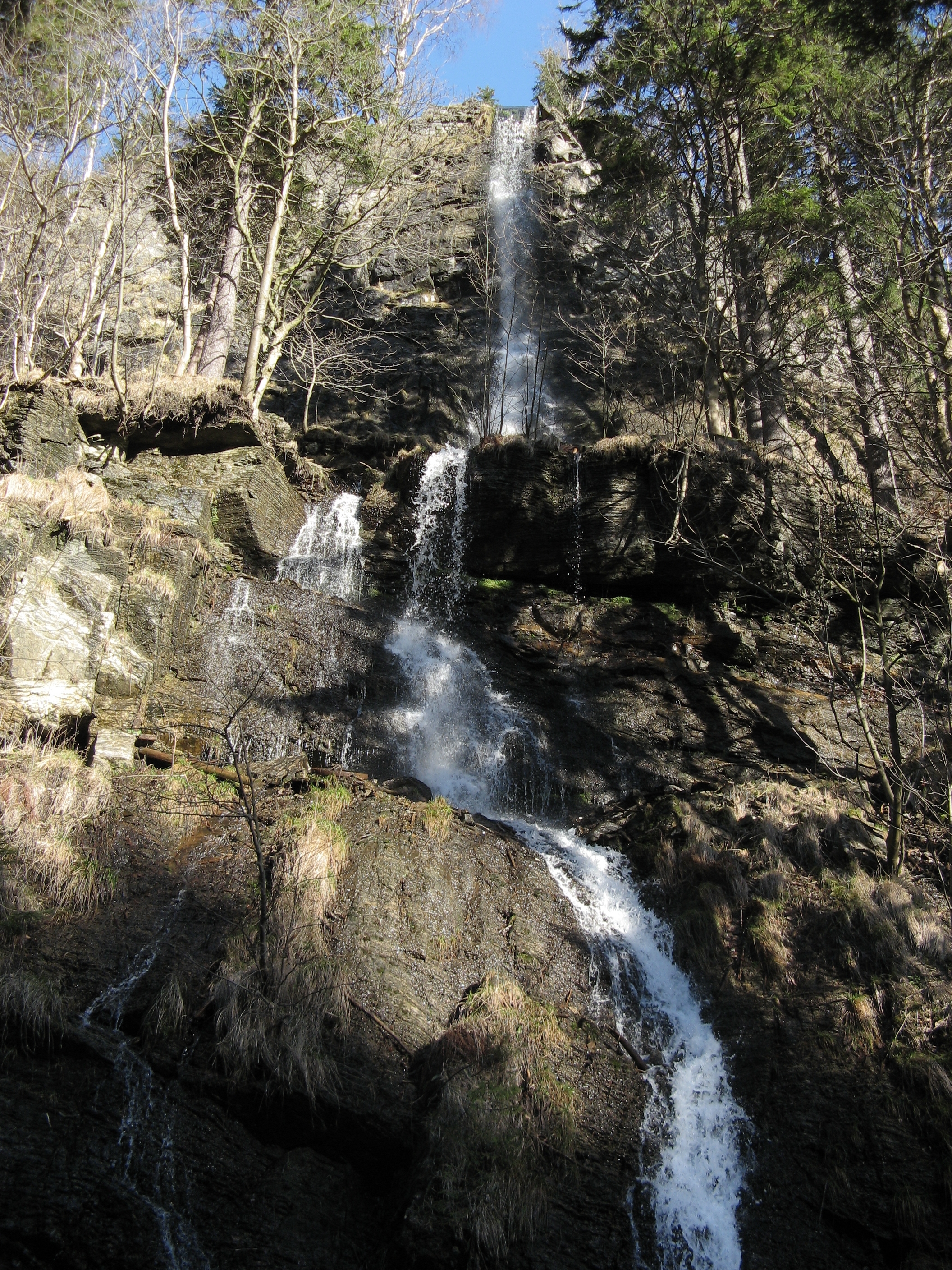 20070311154859.jpg